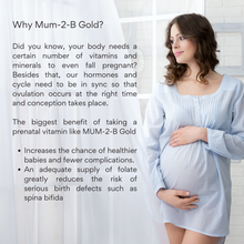 Load image into Gallery viewer, Mum-2-B Support Maternal Health (30’s / Box)