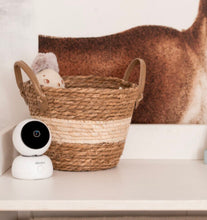 Load image into Gallery viewer, Beaba Zen Premium V2