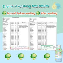 Load image into Gallery viewer, LAMOON VEGETABLE & FRUIT WASH 450ML