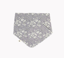 Load image into Gallery viewer, Bibs - Liberty Bandana Bib