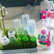 Load image into Gallery viewer, Dapple Baby bottle & Dish Soap