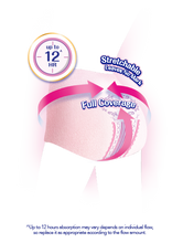 Load image into Gallery viewer, SOFY Comfort Nite 360 Panty