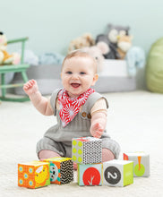 Load image into Gallery viewer, Infantino Colors & Numbers Bath Blocks