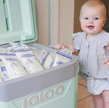 Load image into Gallery viewer, Lansinoh - Express Milk Storage Bags - 25pcs