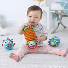 Load image into Gallery viewer, Skip Hop Explore & More Hedgehog Accordion Toy (3m+)