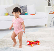 Load image into Gallery viewer, Skip Hop Xylophone Baby Toy