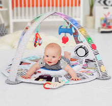 Load image into Gallery viewer, Vibrant Village Smart Lights Activity Gym