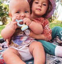 Load image into Gallery viewer, Haakaa Baby Fruit Food Feeder Pacifier