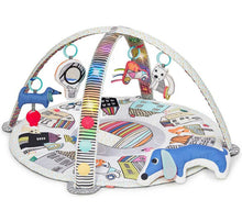 Load image into Gallery viewer, Vibrant Village Smart Lights Activity Gym