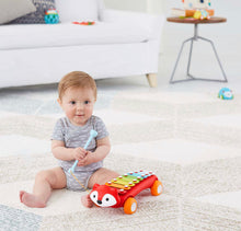 Load image into Gallery viewer, Skip Hop Xylophone Baby Toy