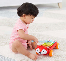 Load image into Gallery viewer, Skip Hop Xylophone Baby Toy