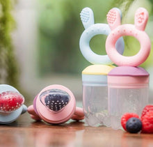 Load image into Gallery viewer, Haakaa Baby Fruit Food Feeder Pacifier