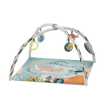 Load image into Gallery viewer, Moon Underwater Wonders 3in1 Activity Gym 0m+
