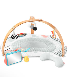 Skip Hop Discoverosity Play Gym Multi Color