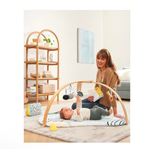 Load image into Gallery viewer, Skip Hop Discoverosity Play Gym Multi Color
