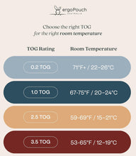 Load image into Gallery viewer, ErgoPouch Cocoon Swaddle Bag 1.0 TOG (0-3 months)
