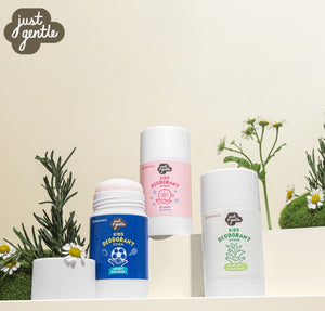 Just Gentle Organic Kids Deodorant Stick 55g