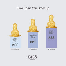 Load image into Gallery viewer, Bibs Bottle Nipple 2 PACK
