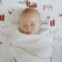 Load image into Gallery viewer, Little Unicorn Cotton Muslin Swaddle Blankets 3pc Light Pink
