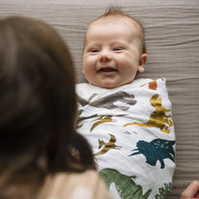 Load image into Gallery viewer, Little Unicorn Deluxe Muslin Swaddle Air Show
