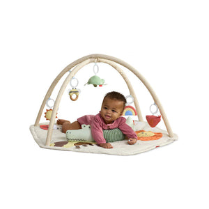 Skiphop geometric wonders play gym