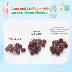 LAMOON VEGETABLE & FRUIT WASH 450ML