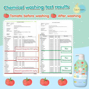 LAMOON VEGETABLE & FRUIT WASH 450ML