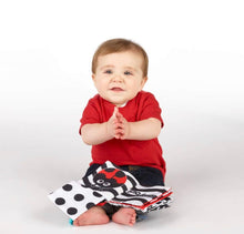 Load image into Gallery viewer, Sassy Peek-a-Boo Activity Book
