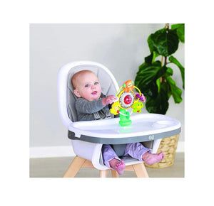 Infantino-Ferriss wheel