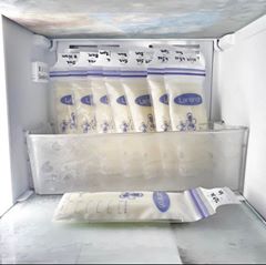 Lansinoh - Express Milk Storage Bags - 25pcs