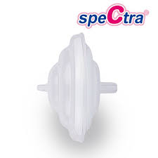 Spectra Back Flow Protector Replacement